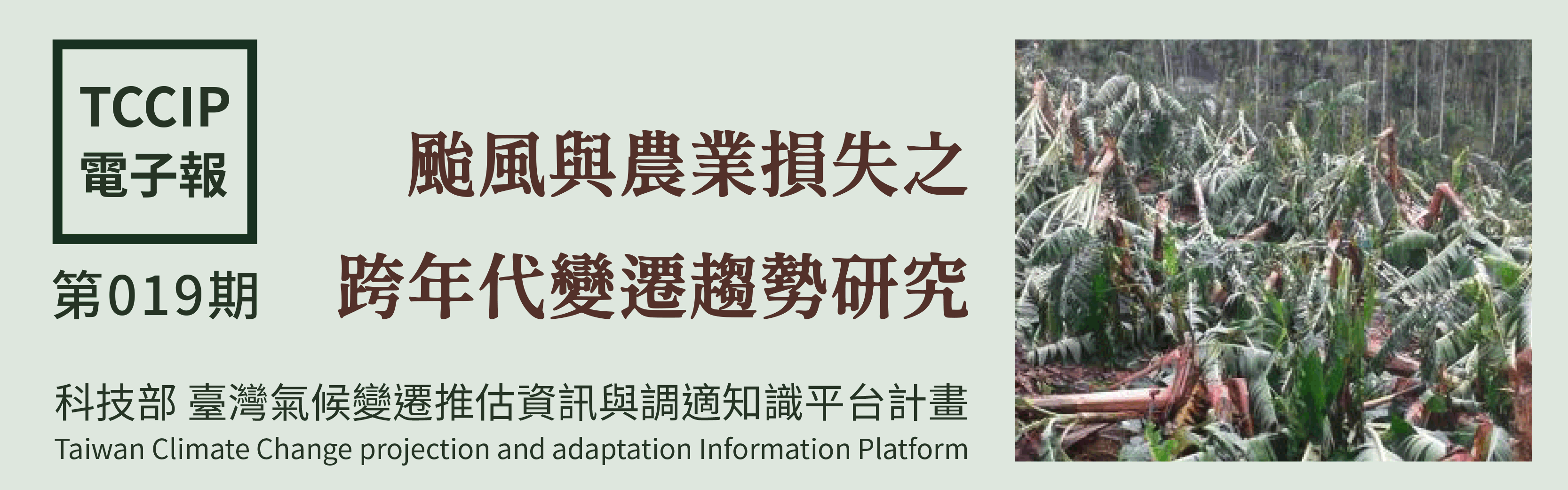臺灣氣候變遷推估資訊與調適知識平台電子報019期