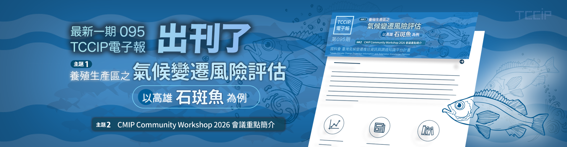 電子報95